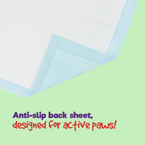 Puppy Dog/Kitten Toilet Training Pads - Pack of 50 Small
